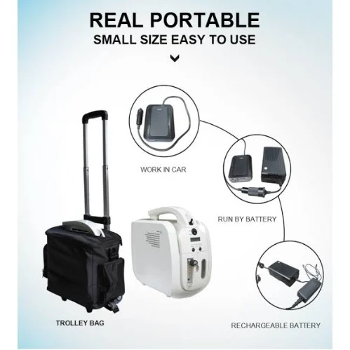 Portable oxygen concentrator on trolley with battery backup.